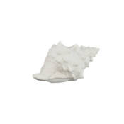 23798-1-graeme-poly-muschel-led-ptmd.jpg
