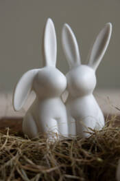 23813-2-hasen-love-storefactory.jpg