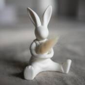 23810-3-hase-lasse-storefactory.jpg