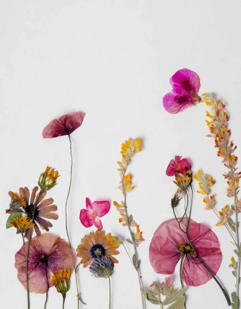 Blumendeko – 17 tolle Ideen für florale Deko 80 Blumen pressen für Bilder und mehr