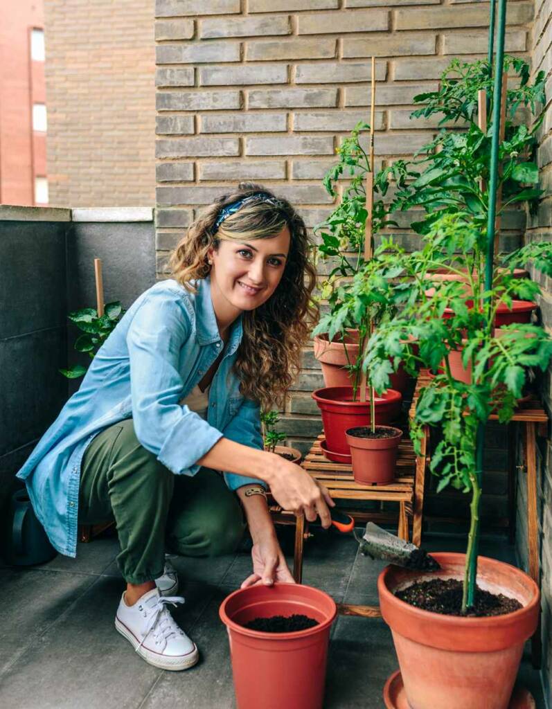 Tomaten vorziehen und Tomaten anbauen – 30 tolle Tipps und Tricks für eure Ernte 21 Tomaten als Terrassen Deko und Balkon Deko