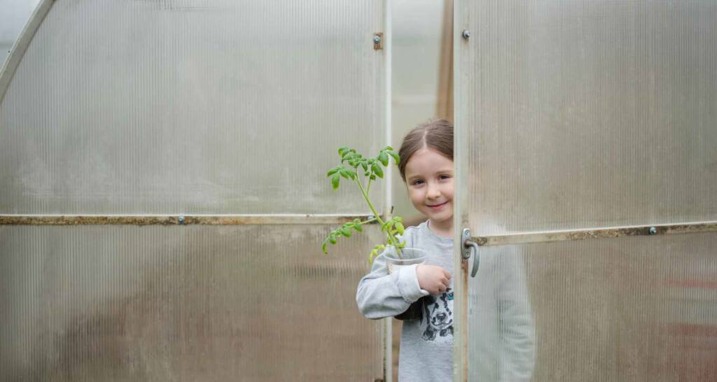 Tomaten vorziehen und Tomaten anbauen – 30 tolle Tipps und Tricks für eure Ernte 18 Tomatensorten für Anfänger Tomaten anziehen Tomaten anbauen