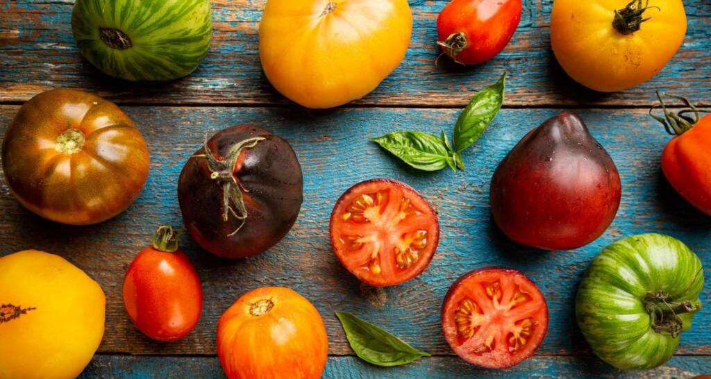 Tomaten vorziehen und Tomaten anbauen – 30 tolle Tipps und Tricks für eure Ernte 2 Tomatensorten im Portrait – Nicht einfach nur rot und rund