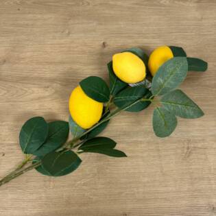 23853-2-zitronen-zweig-lemon-vosteen.jpg