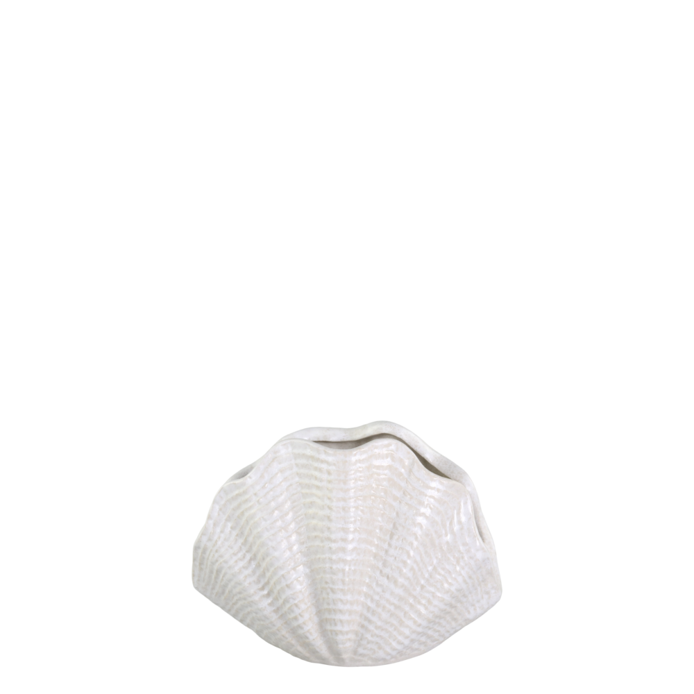 23868-1-vase-muschel-mittel-chic-antique.png