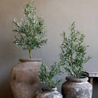 23904-1-fleur-olivenbaum-chic-antique.jpg