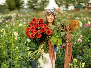 Kooperation 4 Gartenblumen mit Mehrwert – 19 tolle Schnittblumen, Färberpflanzen und essbare Blüten