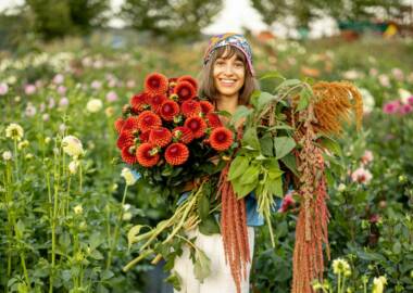 Startseite 62 Gartenblumen mit Mehrwert – 19 tolle Schnittblumen, Färberpflanzen und essbare Blüten