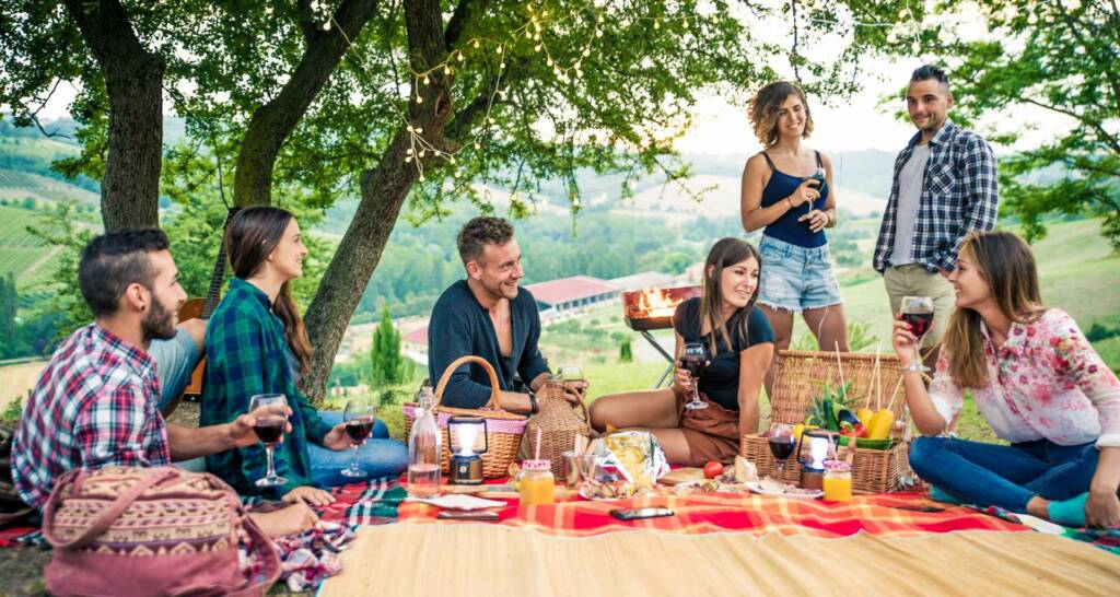 Draußen feiern - 10 tolle Gartenparty Ideen 2 Picknick im Garten Gartenparty Ideen draußen feiern