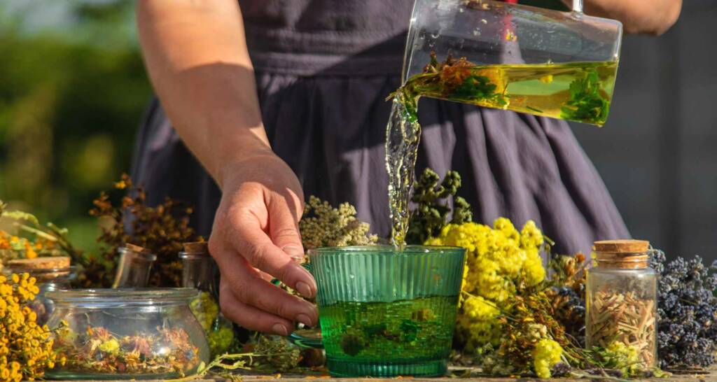 Naschgarten anlegen – 38 tolle essbare Pflanzen für euren Garten 97 Teekräuter im Garten anbauen Naschgarten Essbare Pflanzen