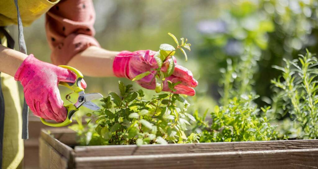 Grillecke im Garten gestalten – 8 tolle Ideen für eure Outdoorküche 66 Köstliche Pflanzendeko Kräuter anpflanzen auf der Terrasse Kräuter im Hochbeet