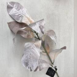 15179-1-zweig-magnolienblätter-ptmd.jpg