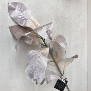15179-1-zweig-magnolienblätter-ptmd.jpg