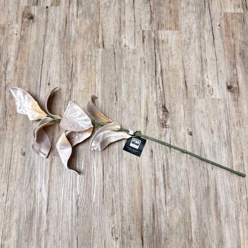 15179-2-zweig-magnolienblätter-ptmd.jpg