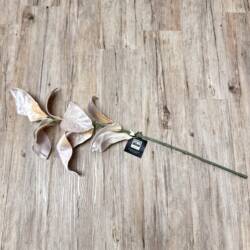 15179-2-zweig-magnolienblätter-ptmd.jpg